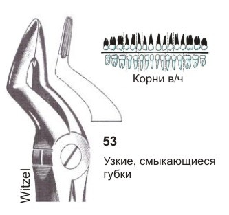 Щипцы №53L для удаления зубов