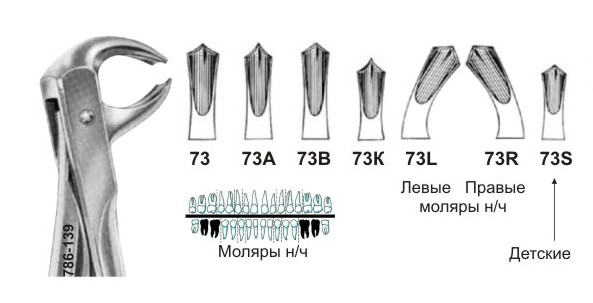 Щипцы для удаления зубов нижней челюсти с названиями и фото