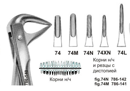 Щипцы №74М для удаления корней зубов нижней челюсти